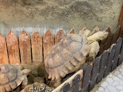 -上海大自然野生昆虫馆