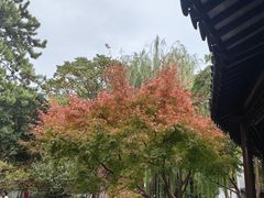 -秋霞圃