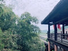 -大唐贡茶院