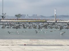 -东港音乐喷泉广场