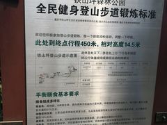 -铁山坪森林公园