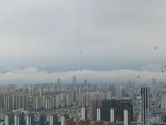 -Yan Ting宴庭中餐厅-长沙瑞吉酒店(运达店)