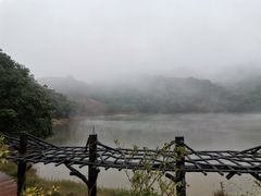 -广州市石门国家森林公园