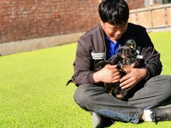 -北京京卫宠物寄养训练中心