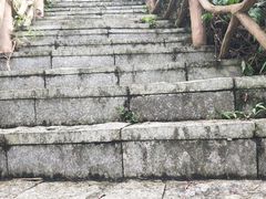 -海南热带雨林国家公园吊罗山景区