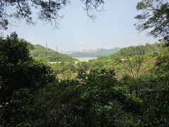 -深圳仙湖植物园