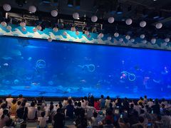 -烟台海昌鲸鲨海洋公园