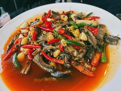 土鳝鱼-刘土鸡家常菜