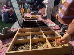 -HERRE·FARM 赫尔露营农场·团建聚会包场