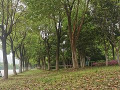 -汉江湾体育公园