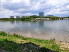 -大兴滨河森林公园