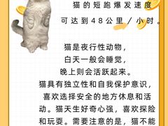 -佩兹宠物医院肿瘤专科·眼科·牙科(黄浦店)