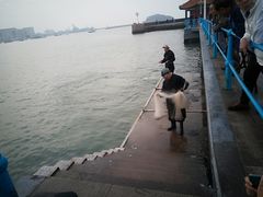 景点-栈桥景区