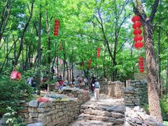-井塘古村
