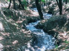 -红螺寺