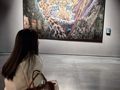 -罗红摄影艺术馆