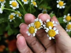 -雪蔓之鲜花气球派对(家佳源时代中心店)