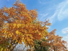 -狼山风景名胜区