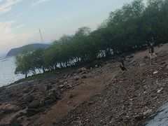 -海沧湾公园