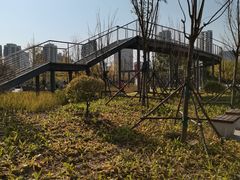 -长白岛森林公园