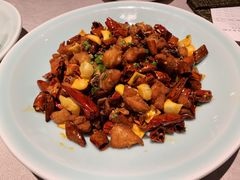 歌乐山辣子鸡-新沸腾鱼乡(世贸天阶店)