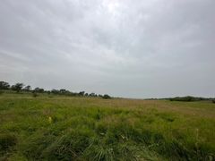 -御道口草原森林风景区