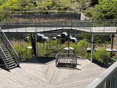 -云岫谷游猎自然风景区