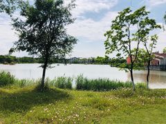 -上海长兴岛郊野公园