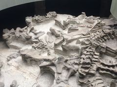 iphone_upload_pic-自贡恐龙博物馆