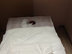 -智慧盲人按摩艾灸-颈肩腰膝疼痛调理(浦东店)