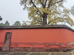 -金堂县云顶石城风景区