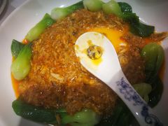 -席家花园(巨鹿花园店)
