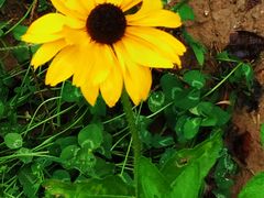 -回龙观体育文化公园