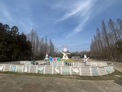 -东平国家森林公园
