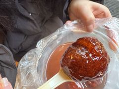 -粗茶淡饭(东关街店)