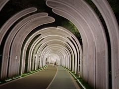 -渤公岛生态公园