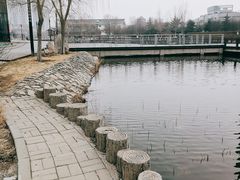 -绿岛公园(滨海新区)