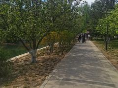 -元大都城垣遗址公园