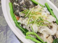 清蒸石斑鱼-古姑姑·品质海南菜私房餐厅(龙昆南欧式洋房别墅店)