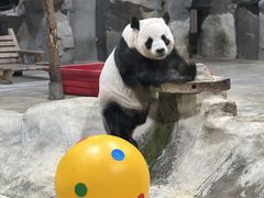 -栾川竹海野生动物园