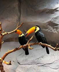 -Zoolung Zoolung动物主题公园(海信广场店)