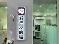 -爱洗澡的猫(望京店)
