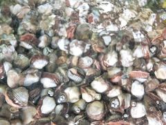 -四海鲜渔家菜(黄金海岸店)