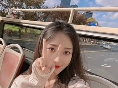 -BUS TOUR观光巴士