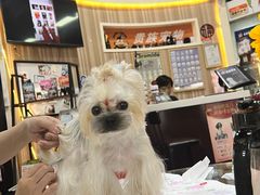 -贵族宠物·宠物美容(三阳路店)