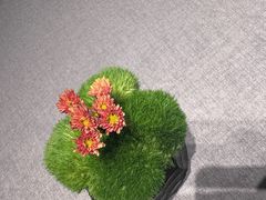 -南堂馆·新川菜(春熙路店)