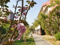-中国政法大学(昌平校区)