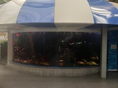 -北国之春国宴(乌兰察布店)