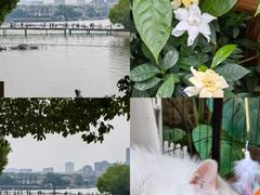 -Beans Solo豆号咖啡(百家湖花园店)