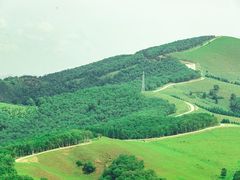 -百里天路